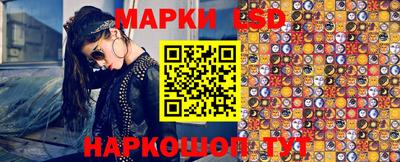 стаф Будённовск
