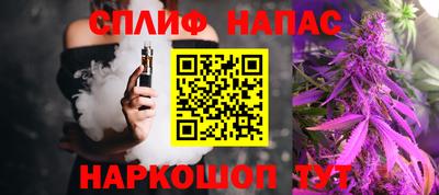 стаф Будённовск