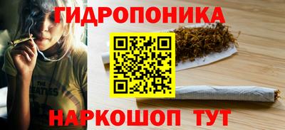 стаф Будённовск